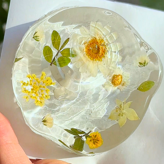 Dry Flower Transparent Taba Squishy Toys