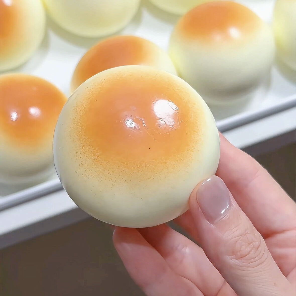 Cream Bun Taba Squishy Toy